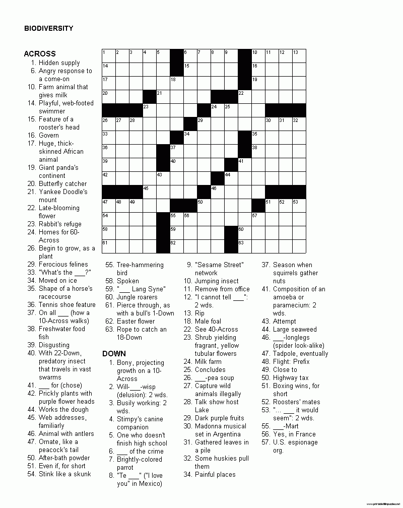 Printable Adult Crossword Puzzles 9