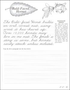 Fourth Grade Cursive Handwriting Worksheets