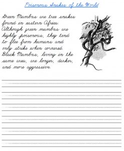 Tracing Cursive Worksheets