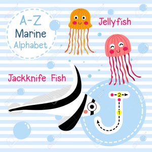 Giant Flash Cards Abc