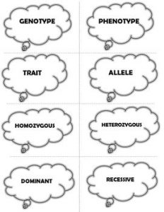 Science Pictionary Cards