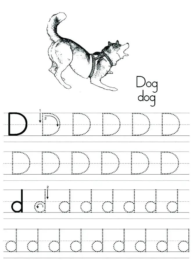 26-learner-friendly-letter-d-worksheets-kitty-baby-love