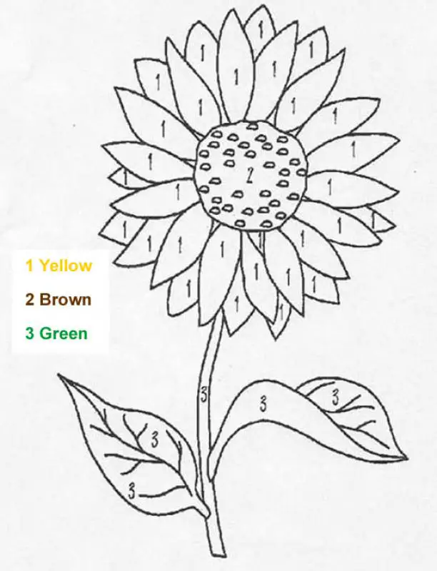 8-flower-color-by-number-worksheets-kitty-baby-love
