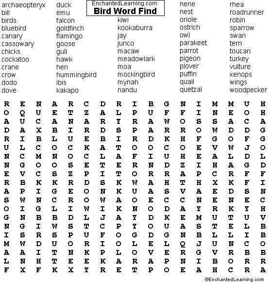 10 Fun Birds Word Searches Kitty Baby Love 10 Fun Birds Word Searches Kitty Baby Love