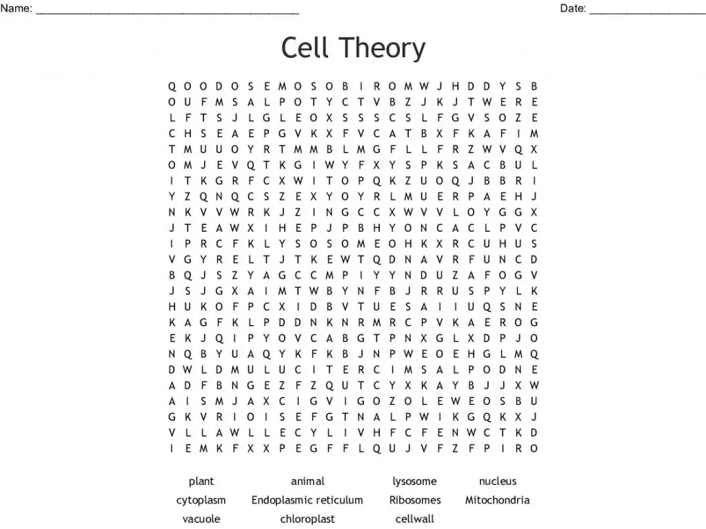 12 Interesting Cell Word Search Puzzles | KittyBabyLove.com